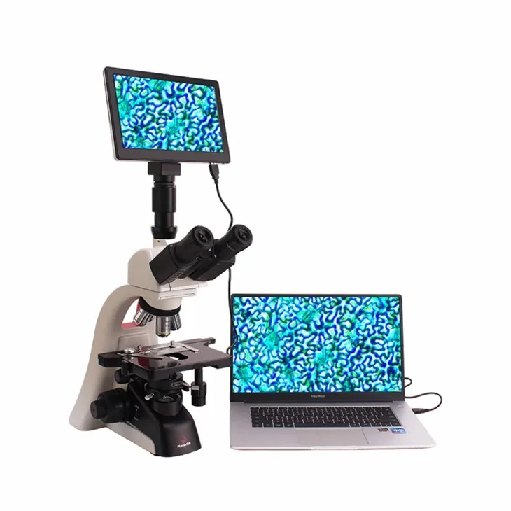 Microscope LCD Display Microscope LCD Display