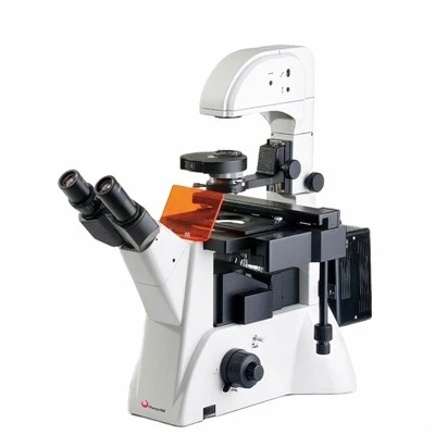 Microscópio de fluorescência binocular